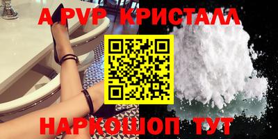 дурь Кингисепп