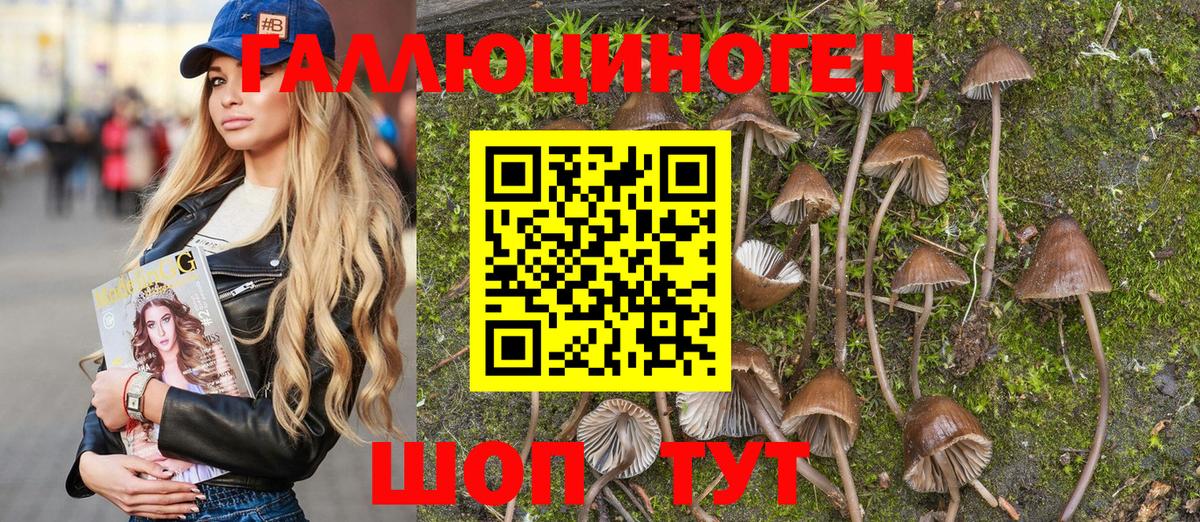 Галлюциногенные грибы Psilocybe Комсомольск-на-Амуре