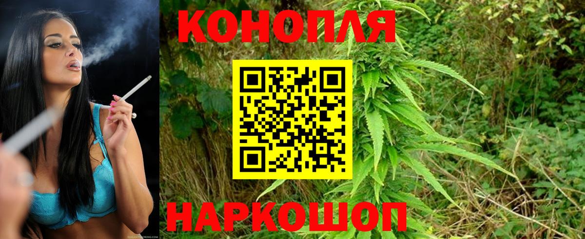 Бошки Шишки план Комсомольск-на-Амуре